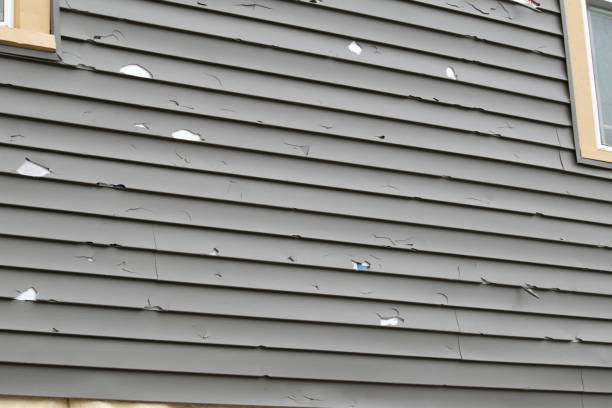 Best Vinyl Siding Installation  in Chipley, FL