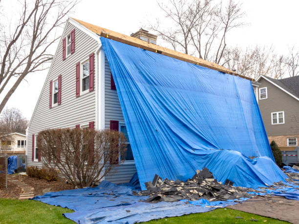 Best Insulated Siding Installation  in Chipley, FL